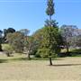 Centennial Park - Loch Ave South