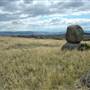 Monaro Plains