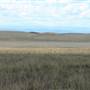 Monaro Plains
