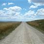 Monaro Plains