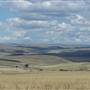 Monaro Plains