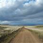 Monaro Plains