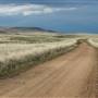 Monaro Plains