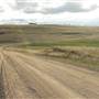 Monaro Plains