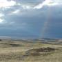 Monaro Plains