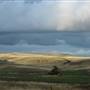 Monaro Plains