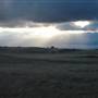 Monaro Plains