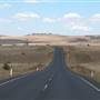 Monaro Plains
