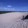 Cronulla Sand Dunes