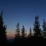 Snowpine Lodge