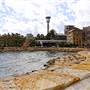 Barangaroo Reserve