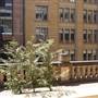 Property Council of Australia