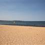 Collaroy Beach