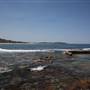 Dee Why Beach and Surrounds
