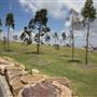 Barangaroo Reserve