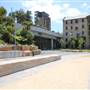 Barangaroo Reserve