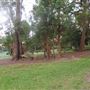 Helensburgh neighbourhood and park