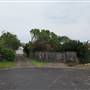 Bilgola Plateau neighbourhood