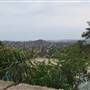 Bilgola Plateau neighbourhood