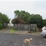 Bilgola Plateau neighbourhood