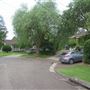 Mona Vale neighbourhood