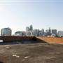 Rooftop City View Exterior Surry Hills