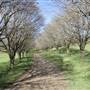 Private House - Crookwell