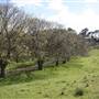 Private House - Crookwell
