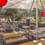 Bodhi Restaurant + Bar