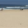 South Maroubra Beach