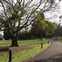 Royal Botanic Garden Sydney