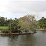 Royal Botanic Garden Sydney
