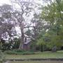 St Ignatius College, Riverview - Grounds/Sportsfields