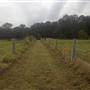 Prize Farm - Private Property Minimbah