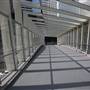 Wynyard Walk