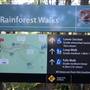 Minnamurra Rainforest Walk - Budderoo National Park
