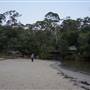 Little Collins Beach Sydney Harbour