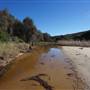 Frazer Beach Campground - Munmorah State Conservation Area
