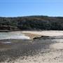 Munmorah State Conservation Area - Snapper Pt and Bongon Beach
