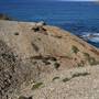 Munmorah State Conservation Area - Snapper Pt and Bongon Beach