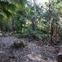 Munmorah State Conservation Area - Palms Picnic Area