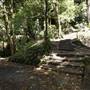 Katoomba Falls Reserve Walk & Tourist Park