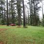 Jenolan State Forest