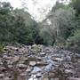 Red Cedar Flat picnic area