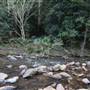 Red Cedar Flat picnic area