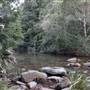 Red Cedar Flat picnic area