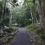 Mount Keira Scout Camp File 1