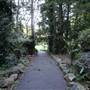 Mount Keira Scout Camp File 1