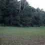 Mount Keira Scout Camp File 1