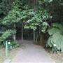 Mount Keira Scout Camp File 1